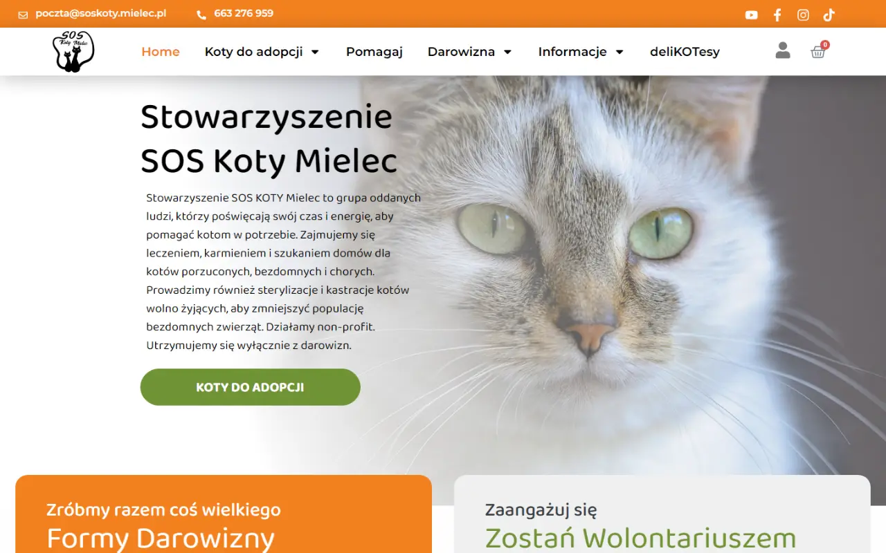 Stowarzyszenie SOS Koty Mielec – strona organizacji